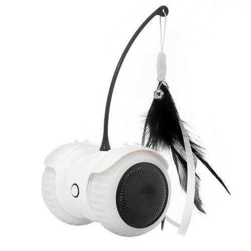 Electric Pet Smart Interactive Cat Toy with Remote Control Car