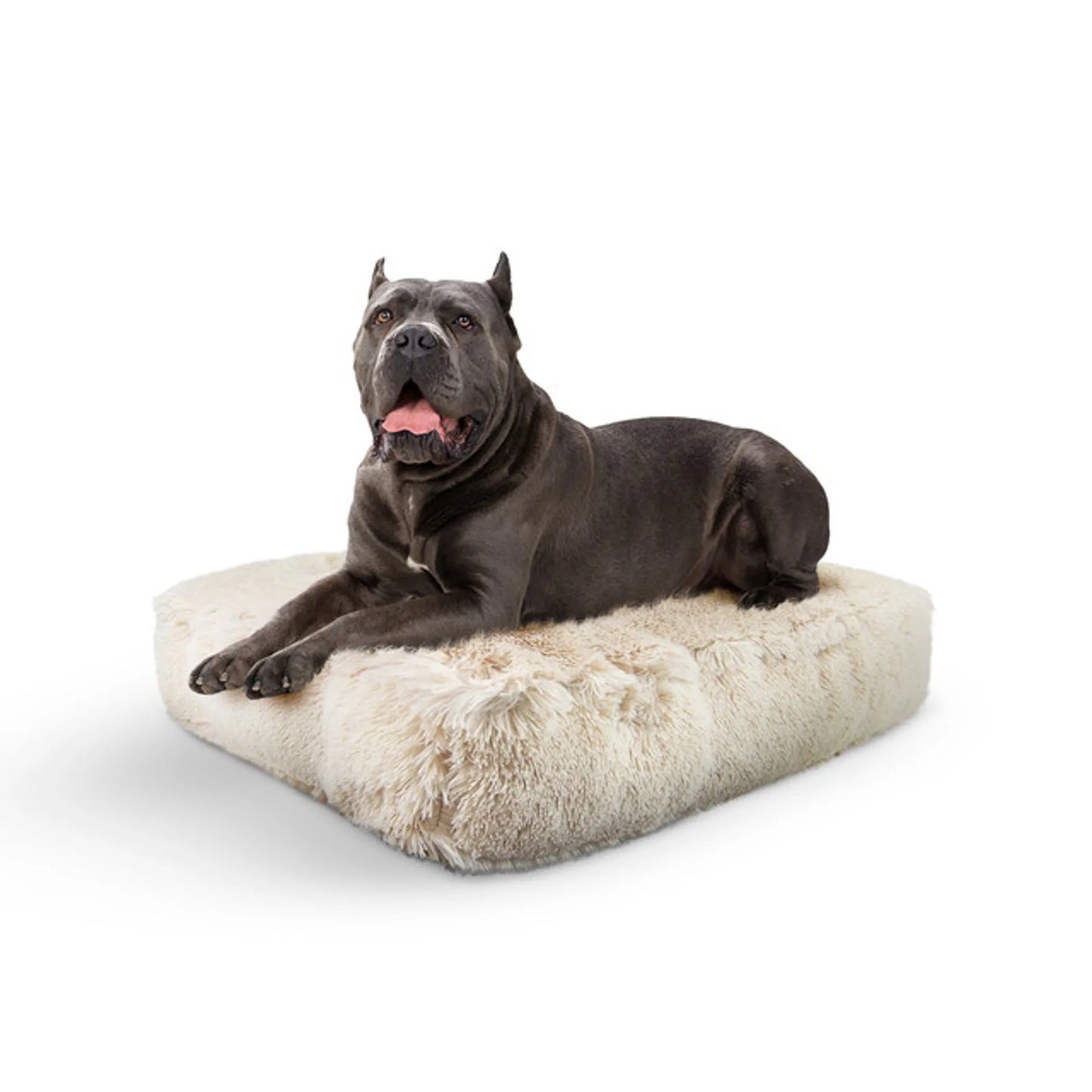 Willow Comfort Bed