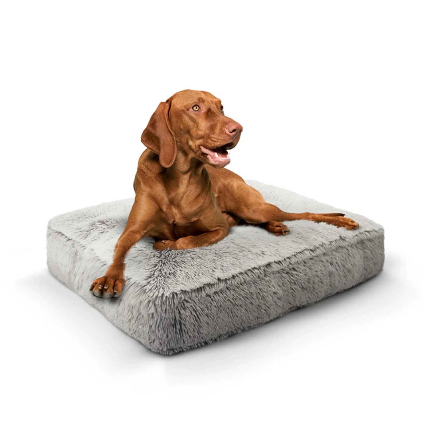 Willow Comfort Bed