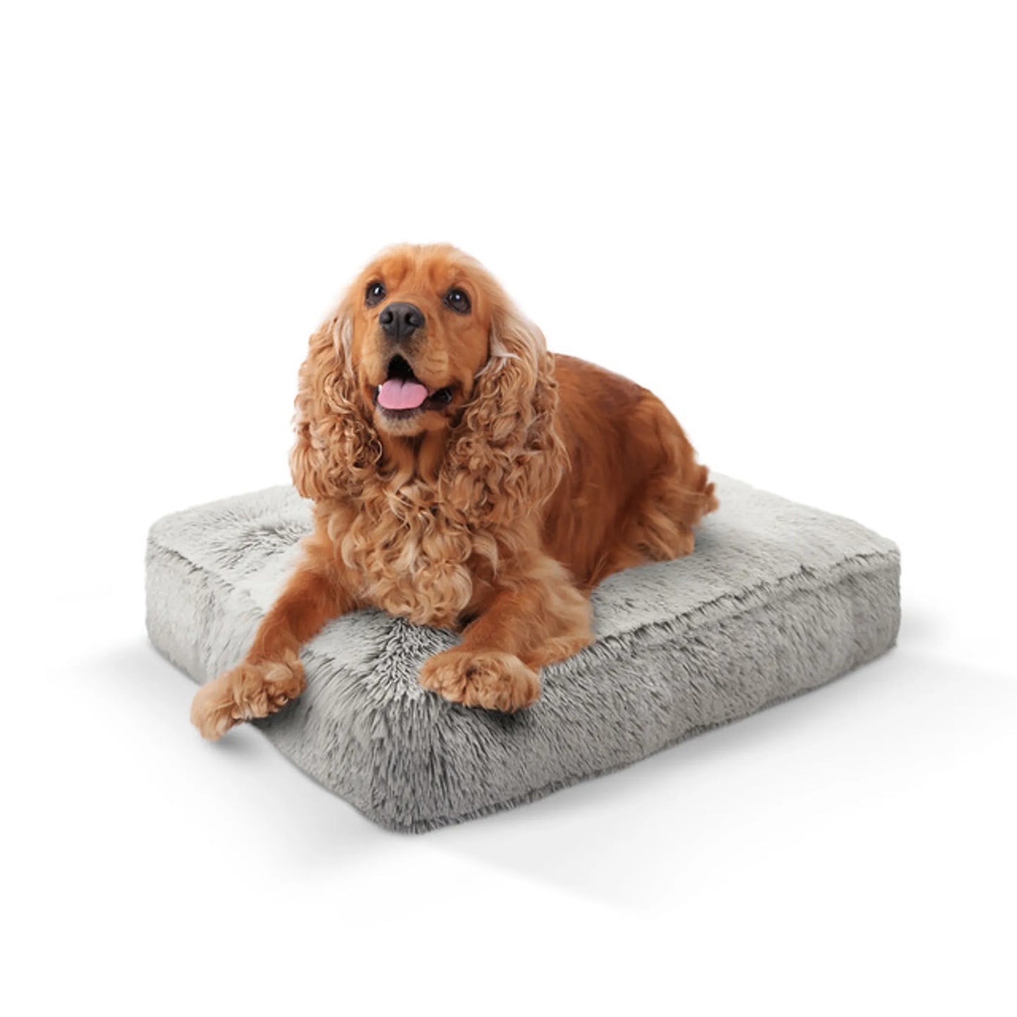 Willow Comfort Bed