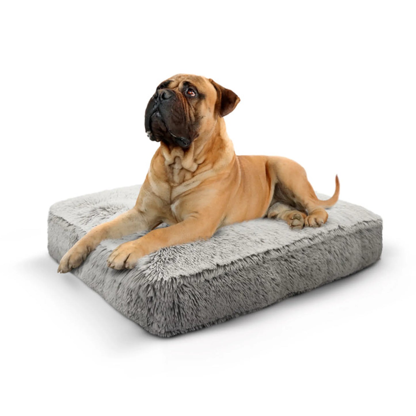 Willow Comfort Bed