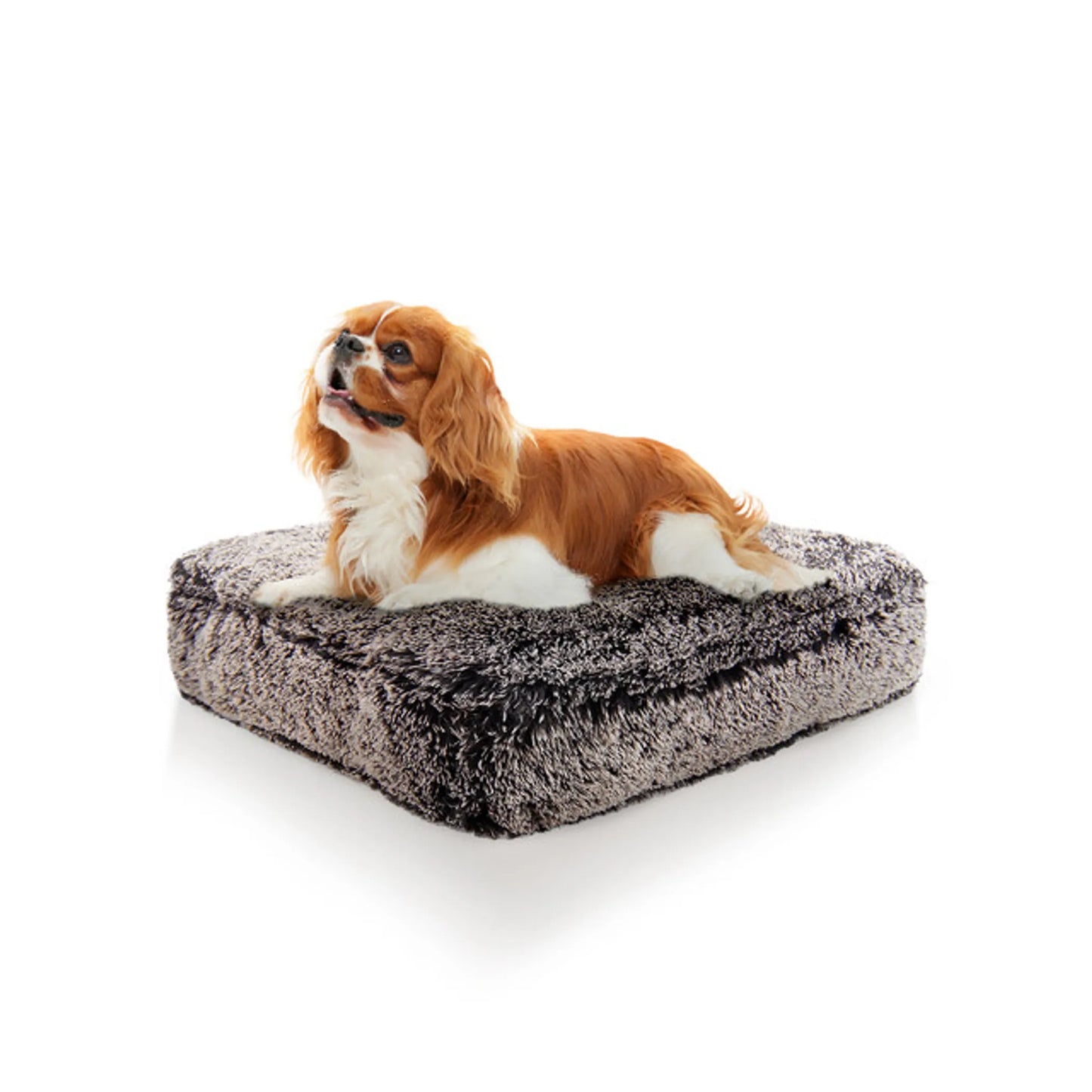 Willow Comfort Bed