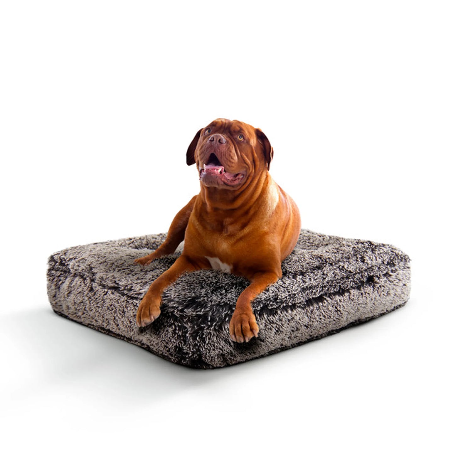 Willow Comfort Bed