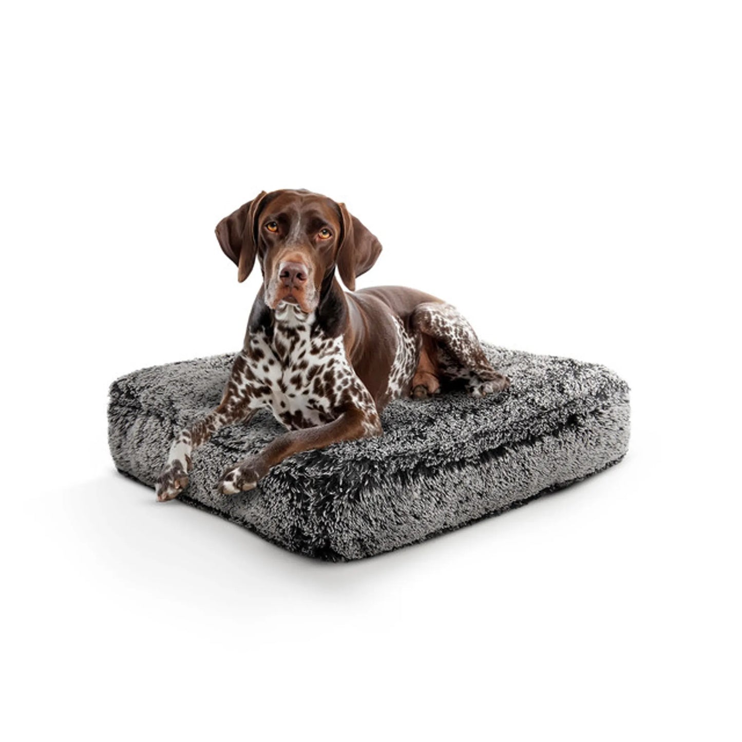 Willow Comfort Bed