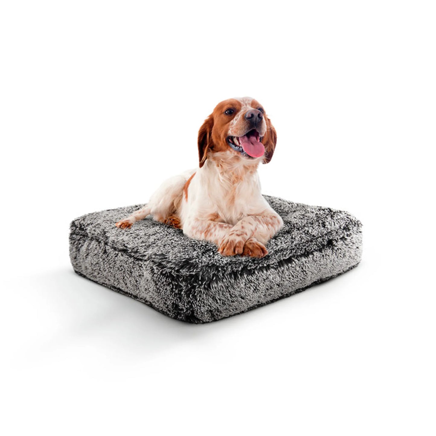 Willow Comfort Bed