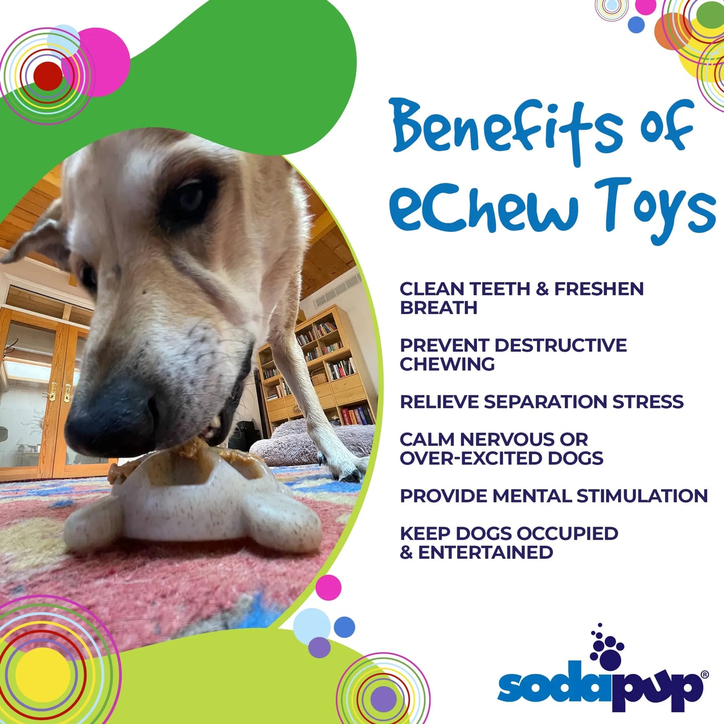 Turtle Nylon Chew Toy - Ultra-Durable Enrichment Toy
