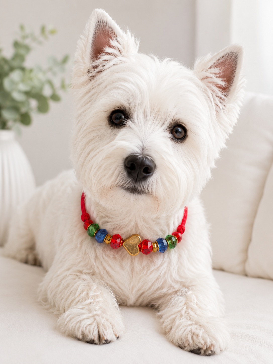 Sunset Pop Handmade Collar Size Small