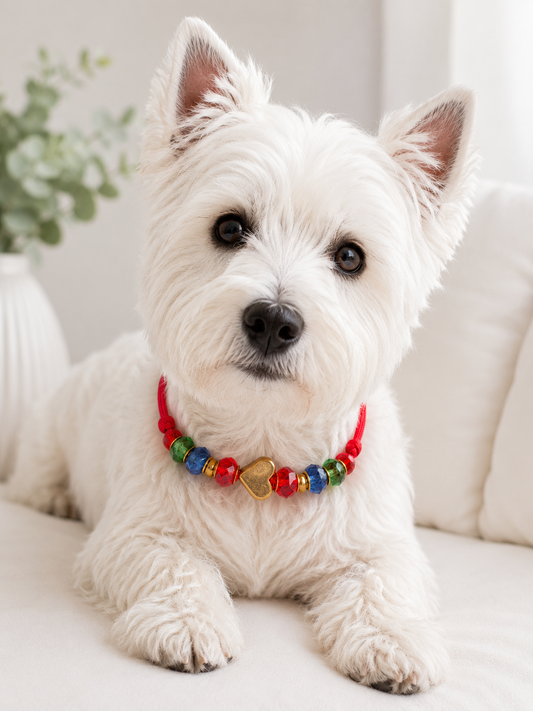 Sunset Pop Handmade Collar Size Small