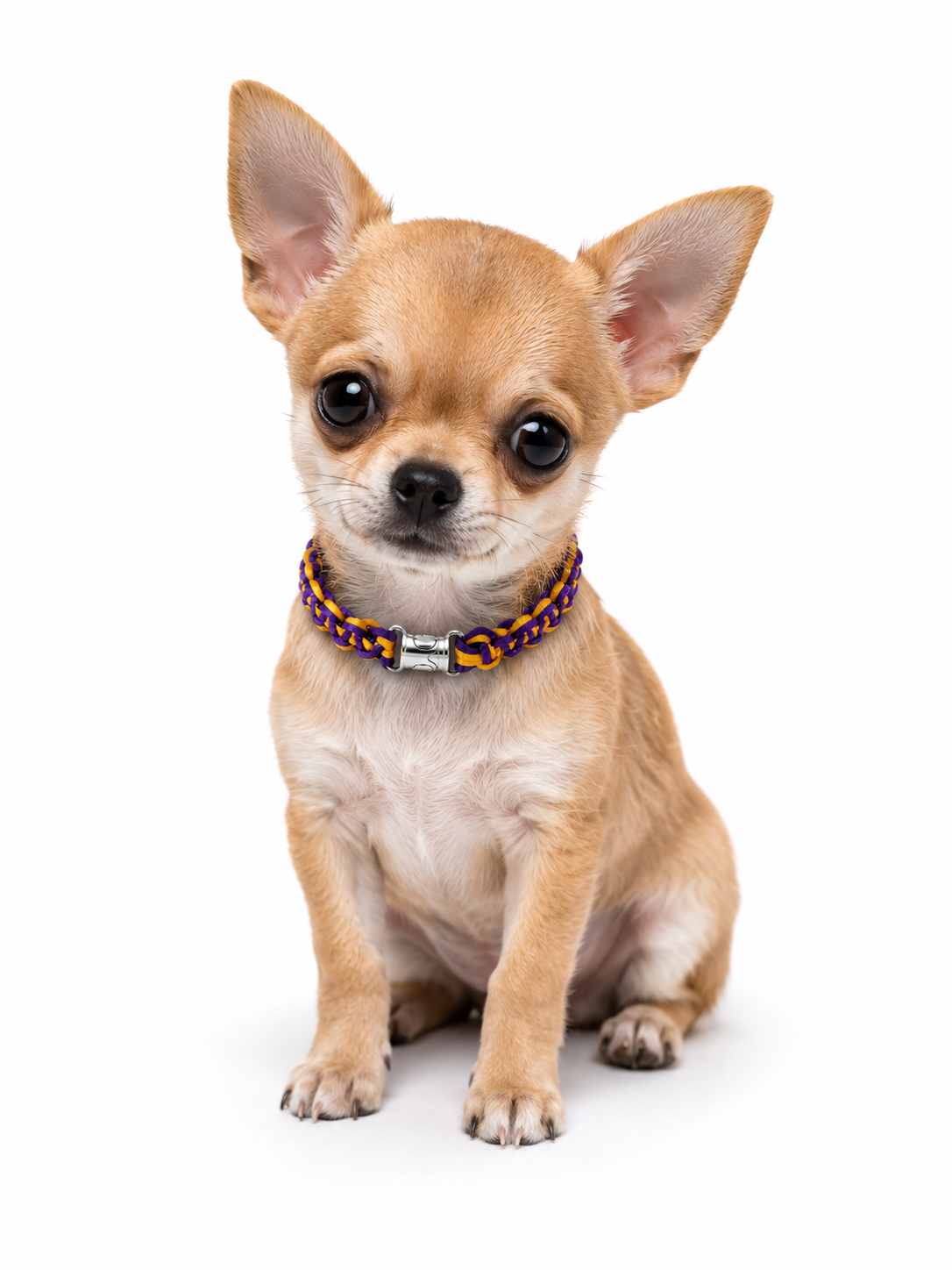 Charm Collection Dog Collar  Size XSMALL