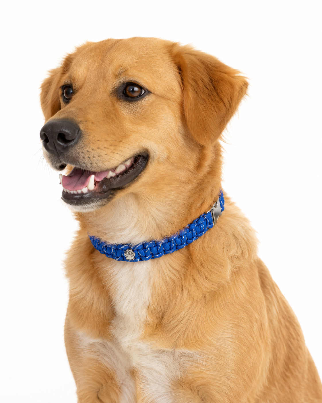 Handwoven Paracord Collar Size Large