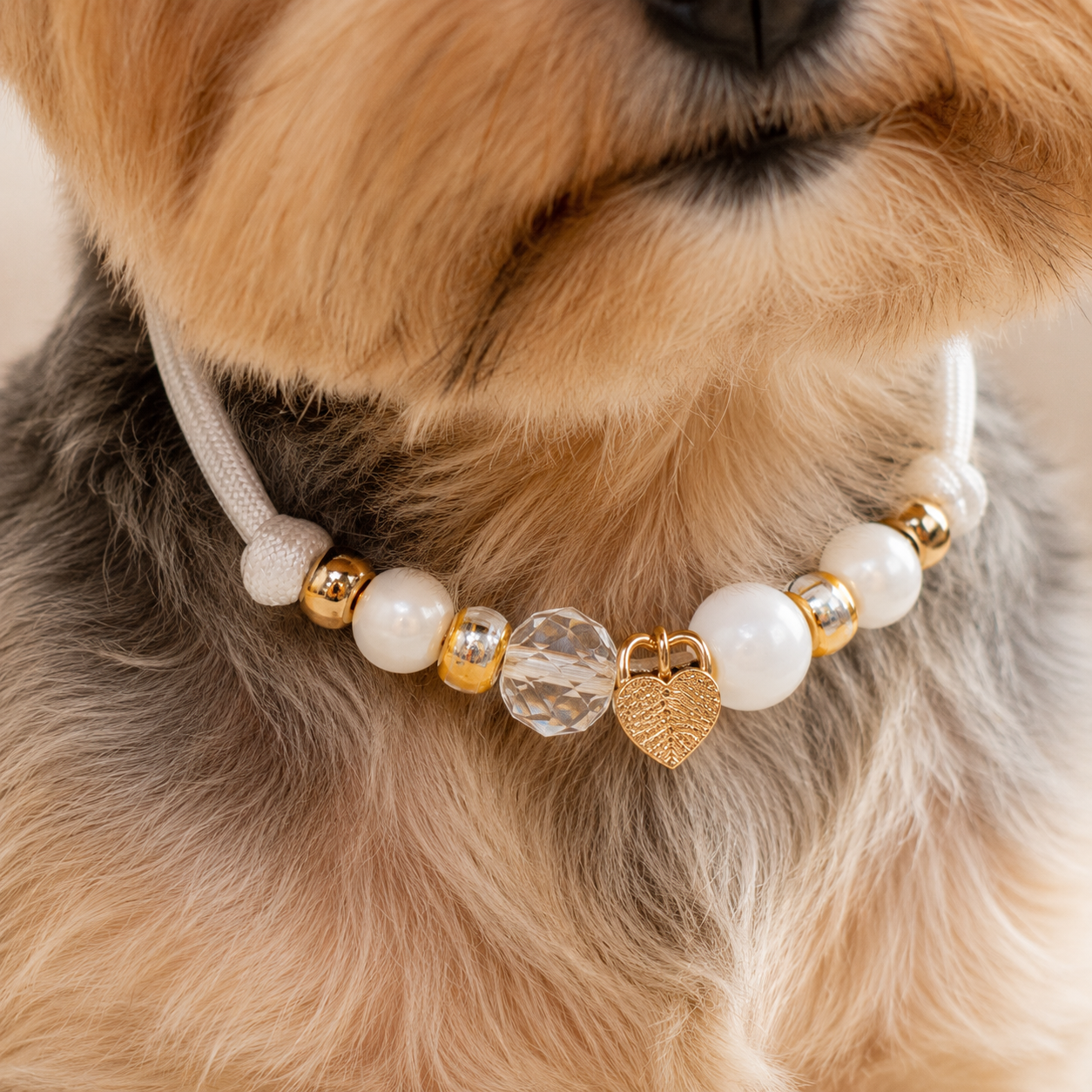 Beaded Charm Collar Size Small