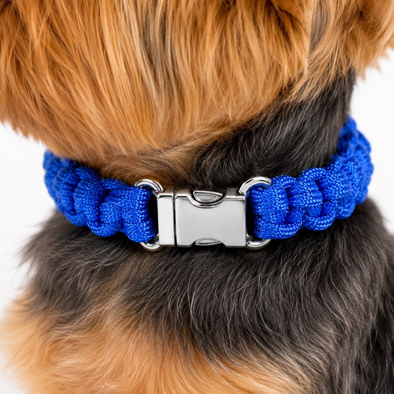 Handwoven Paracord Collar Size Small