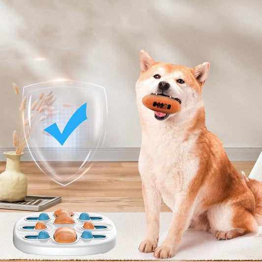 Pet Lick 'N' Learn Slow Feeder