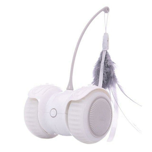 Electric Pet Smart Interactive Cat Toy with Remote Control Car