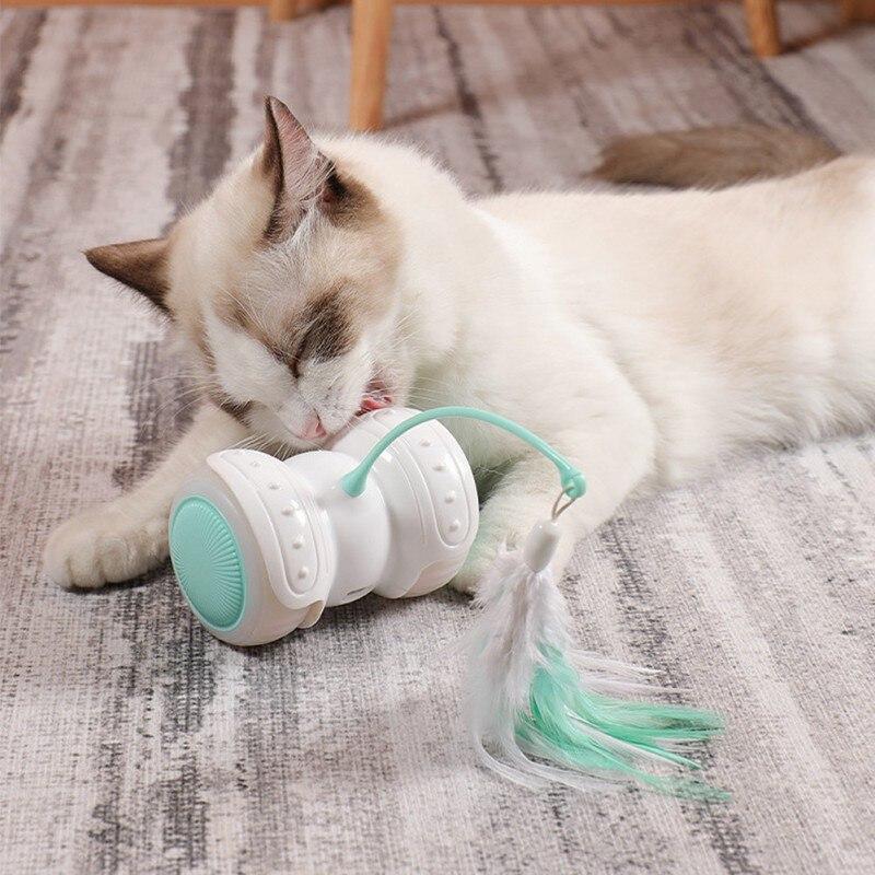 Electric Pet Smart Interactive Cat Toy with Remote Control Car